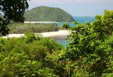Daintree Rainforest Tours - Views from Rainforest to the sea at Cape Tribulation