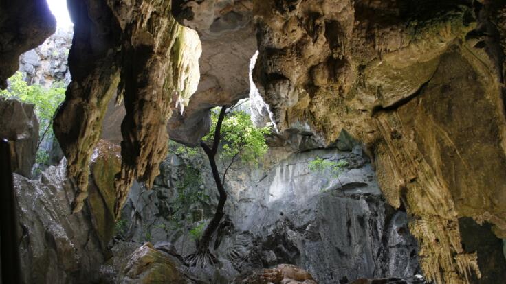 Chillagoe Caves day tour Cairns