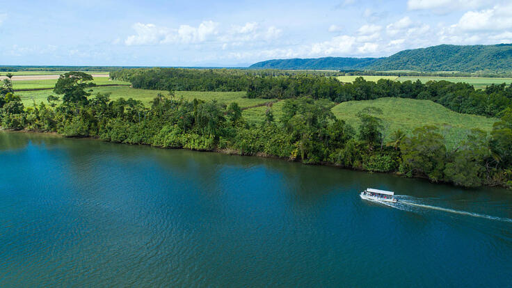 Cairns Tour Package Deals - Daintree River Cruise | Day 2