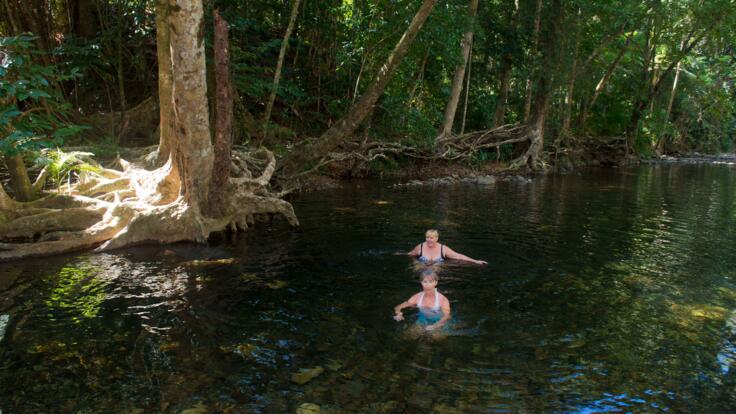 Daintree Rainforest Tours - Swim in pristine water at Emmagen Creek