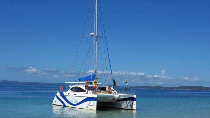Hervey Bay Whale watching tours for small groups 