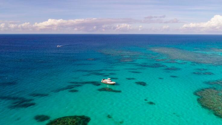 Snorkel & Fish - Great Barrier Reef Private Charter Boat