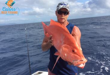 Crimson Snapper Reef Fish-Great Barrier Reef fishing tour 