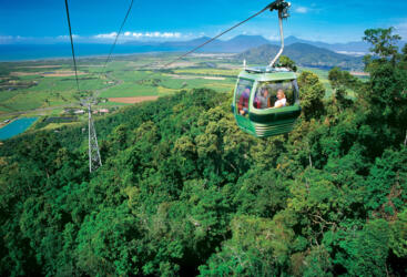 Skyrail Rainforest Cableway | Best Value Day Tour To Kuranda in Cairns