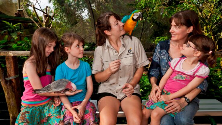 Affordable Day In Kuranda For the Whole Family | Birdworld Is A Must