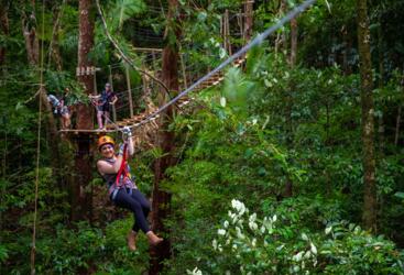 Ziplining in the Daintree Rainforest