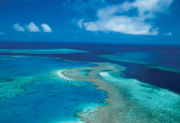 Whitsundays Great Barrier Reef Tours