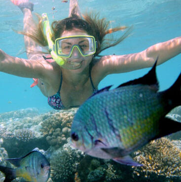Snorkelling in the Whitsundays on the Great Barrier Reef