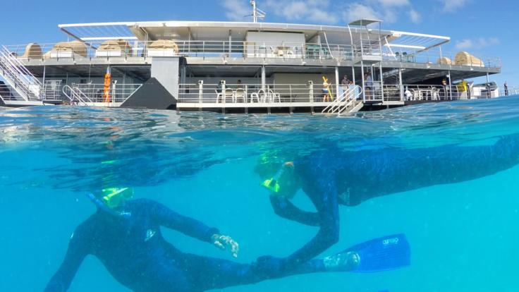 Snorkel on the Great Barrier Reef and Stay Overnight