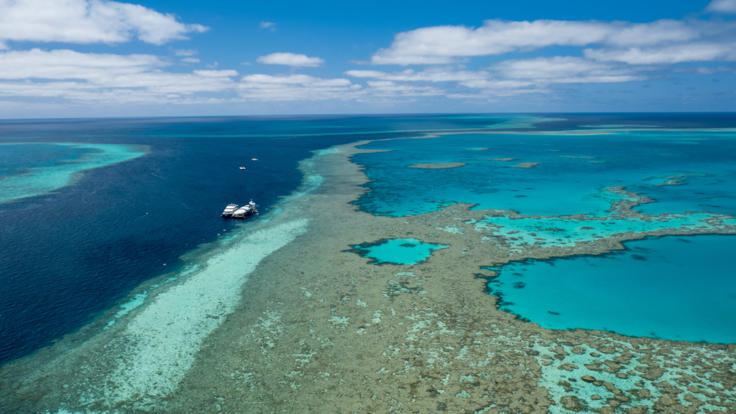 Aerial View Of Reef Sleep Pontoon