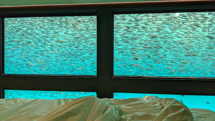 Sleep On The Great Barrier Reef - Luxury Underwater Suites - Whitsundays