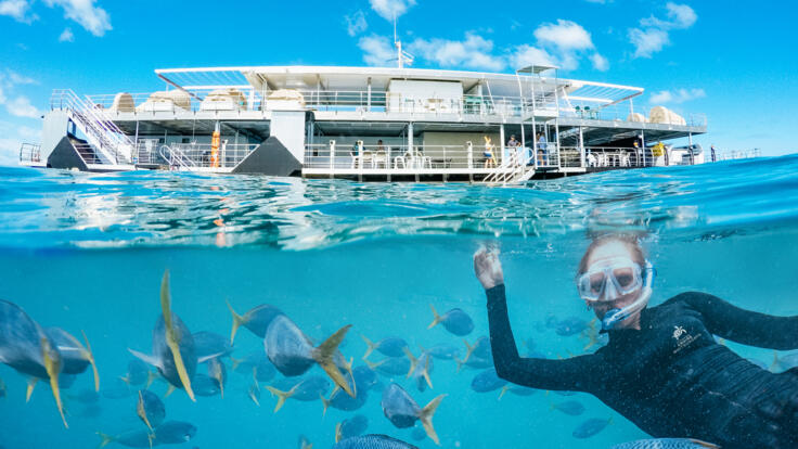 Snorkel the Great Barrier Reef | Underwater Reef Suites  | Whitsundays