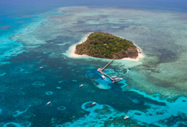 great barrier reef deluxe tour with dive