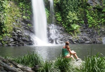 Daintree Rainforest Tours - Swim at Cassowary Falls, Daintree Rainforest