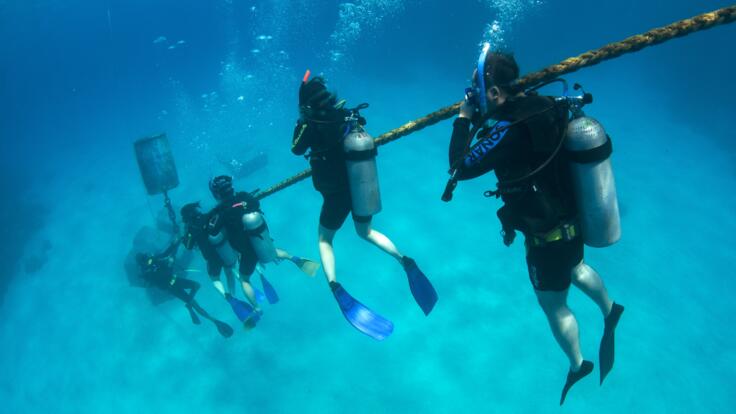Cairns Learn  To Dive Courses - The Best Place to Learn to Scuba Dive