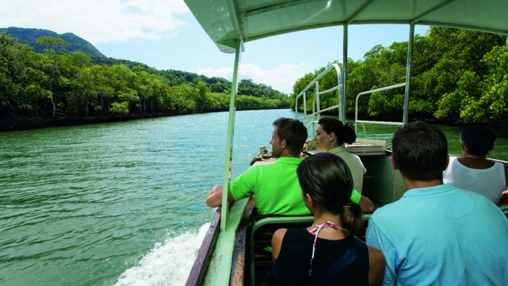Daintree Rainforest Tours - Mighty Daintree River cruise