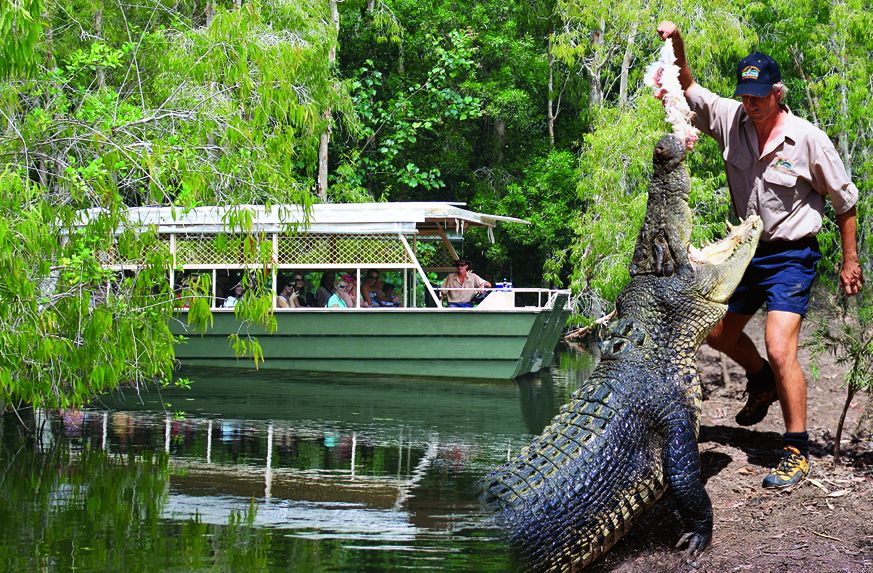 crocodile tours cairns