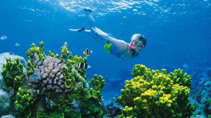 Hamilton Island Snorkel Tours - Snorkel the Great Barrier Reef