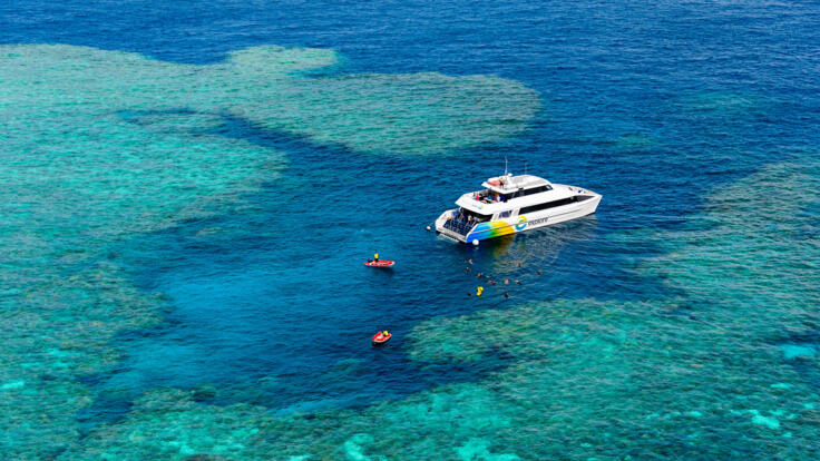Full day outer reef snorkel tour