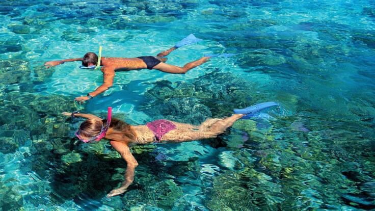 Snorkel Tours - Optional Extra From Whitehaven Beach Club 
