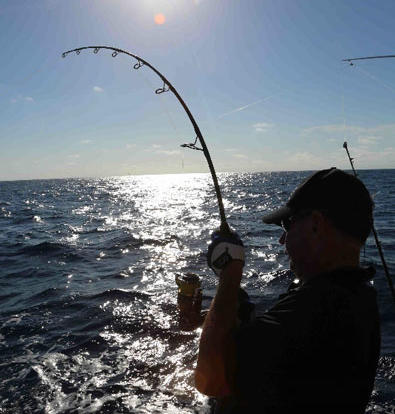 Port Douglas Fishing Charters |Top quality tackle supplied 