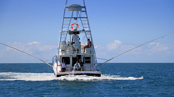 Game Fishing Charters Port Douglas | Rods Out Trawling