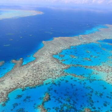 Fly over the Great Barrier Reef - Whitsunday Scenic Flight from Shute Harbour