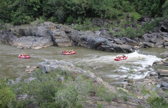 White Water Rafting Cairns - Scenic rainforest views throughout the journey