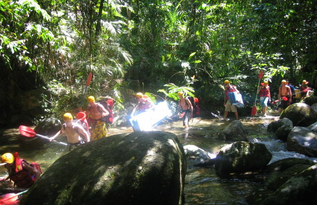 Rafting Tours In Cairns - You are surrounded by tropical rainforest