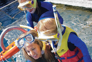 Great Barrier Reef Tours Cairns  - Family snorkel tour on the Great Barrier Reef from Cairns