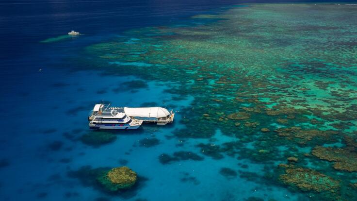 Cairns Tours - Aerial View of Norman Reef & Interactive Pontoon