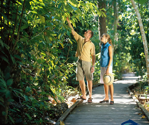 Green Island Tours - Eco boardwalk, Green Island - Great Barrier Reef