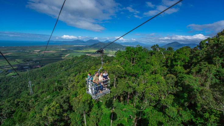 Cairns Combo Package Tours - Upgrade to the Open Air Canopy glider on skyrail if you dare