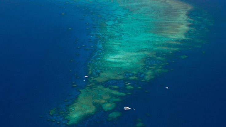 Aerial Views from Cairns Scenic Flight Over The Great Barrier Reef