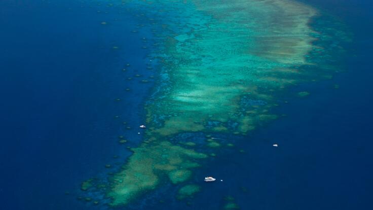 Reef Scenic Flight in Tropical North Queensland