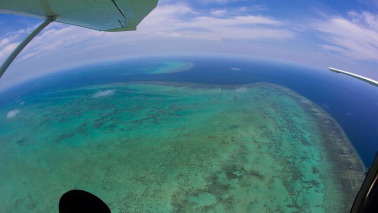 Flights over the Great Barrier Reef | Ex Cairns
