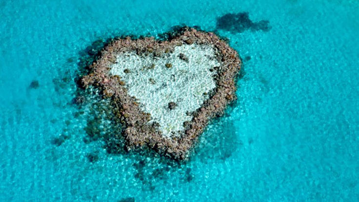 Heart Reef Whitsundays - Helicopter Flight Heart Reef - Whitsunday Islands - Great Barrier Reef Australia 