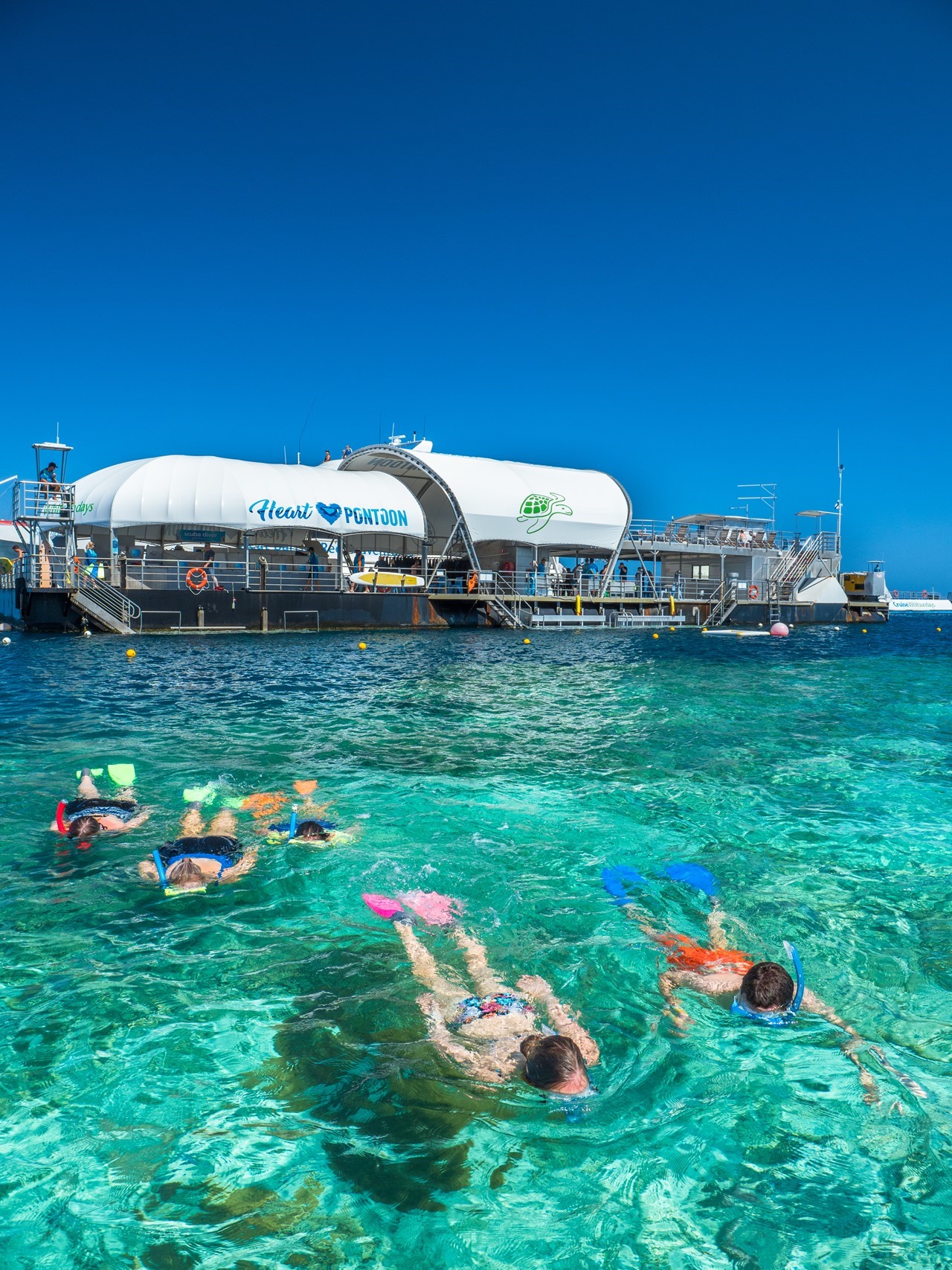 whitsunday reef cruises
