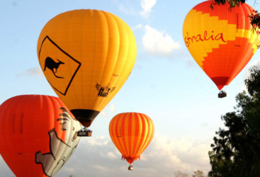 Cairns Hot Air Balloon - Bright hot air balloons in Cairns Australia