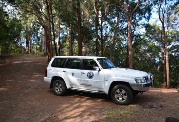 Cairns Wildlife Tours 4WD - Small Group Tours