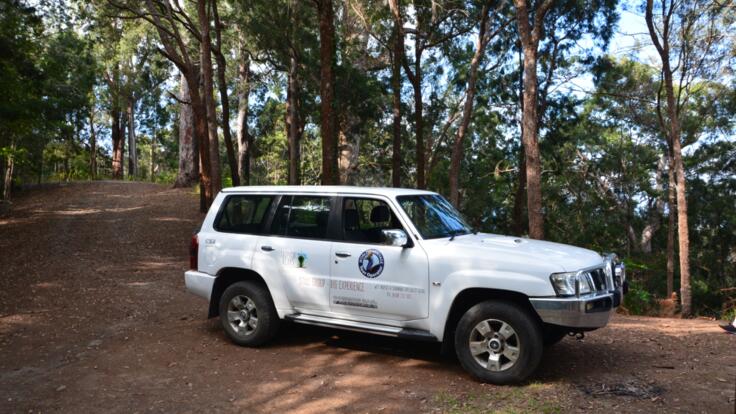 Cairns Wildlife Tours 4WD - Small Group Tours