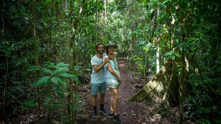 Cairns Small Group Tours - See Ancient Rainforests
