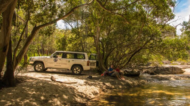 Cairns Nature & Hiking Tours - Our 4WD
