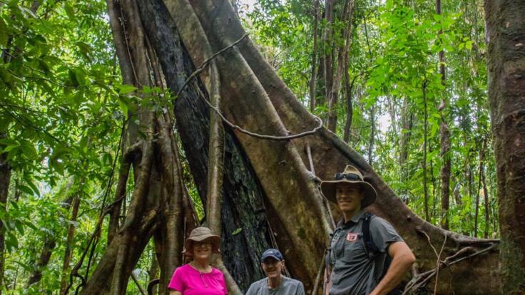Daintree Rainforest Tours - Cairns Small Group Rainforest & Nature Tours