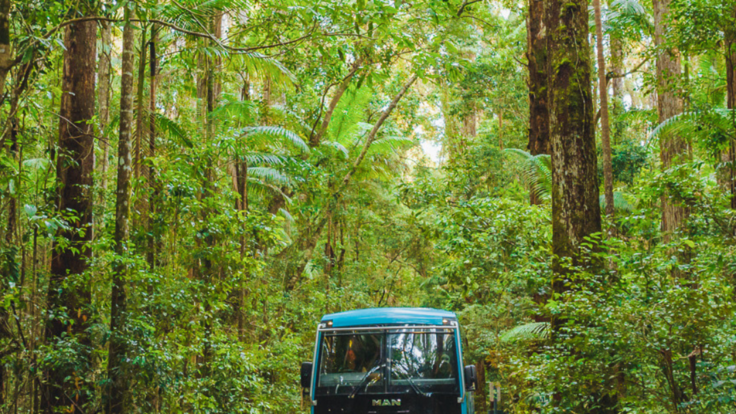K'Gari Island Day Tour