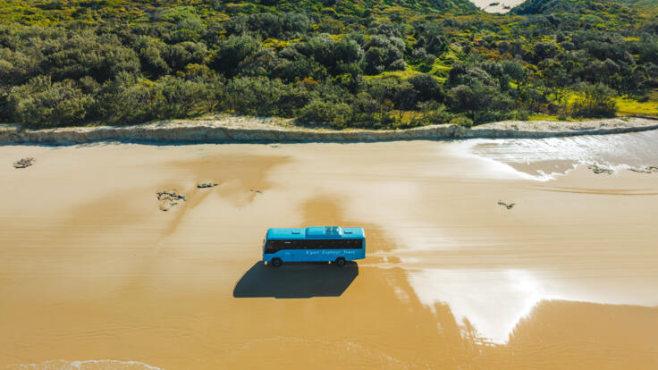K'Gari Island Day Tour