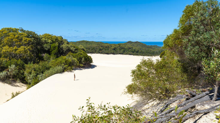 K'Gari Island Day Tour