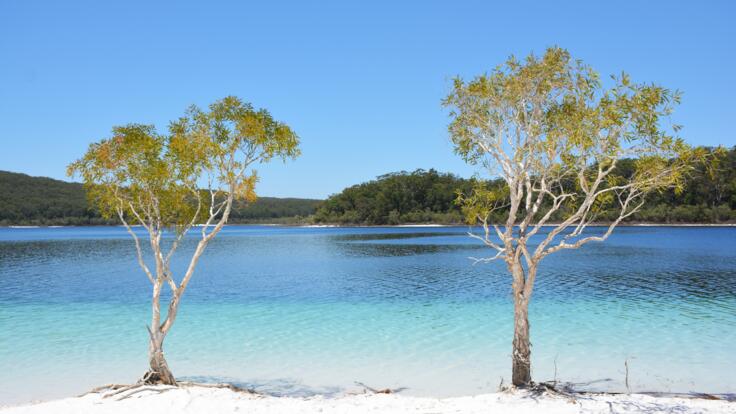 K'Gari Island Day Tour| Lake McKenzie
