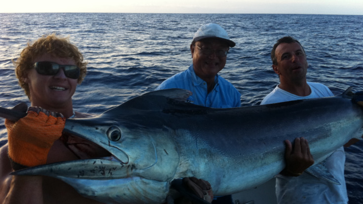 Catch a Marlin on the Great Barrier Reef