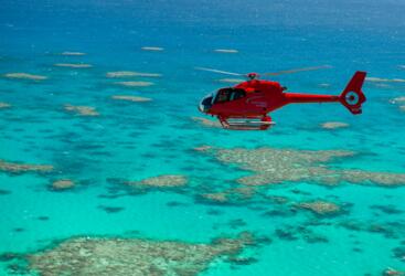 Cairns Helicopter & Reef Combo - Aerial view of the Great Barrier Reef from helicopter